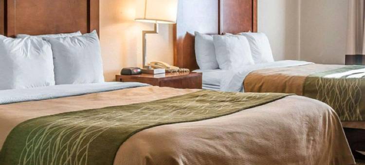 布拉夫顿套房酒店(BLUFFTON INN & SUITES by IHG)图片