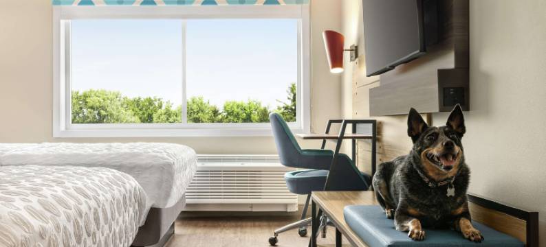 Hilton 马丁斯堡的Tru(Tru by Hilton Martinsburg)图片