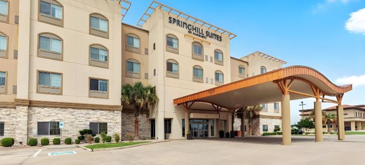 伍德威韦科 SpringHill Suites 酒店(SpringHill Suites Waco Woodway)图片