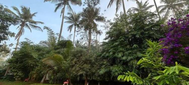 Exuberance Villa图片