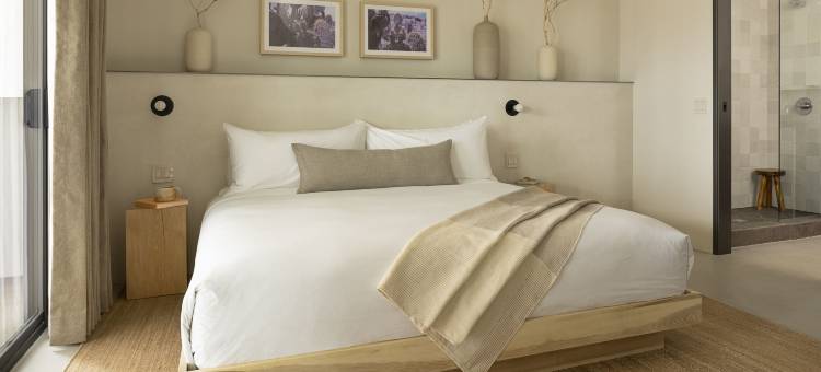 漂流棕榈泉设计酒店成员(Drift Palm Springs, a Member of Design Hotels)图片