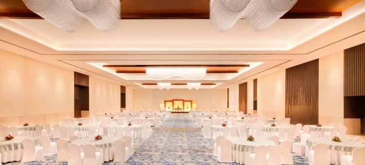 维沙卡帕特南丽笙度假酒店(Radisson Blu Resort Visakhapatnam)图片