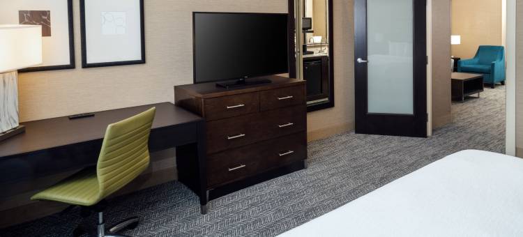 圣路易斯市中心希尔顿安泊酒店(Embassy Suites by Hilton St. Louis Downtown)图片