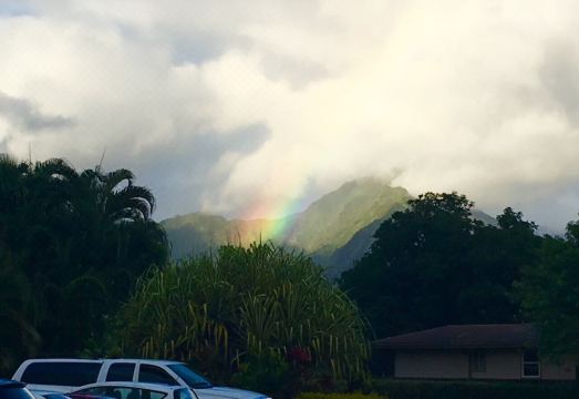 Aloha! The North Shore of Kauai awaits in this amazing, centrally located Condo! Hotel Overview