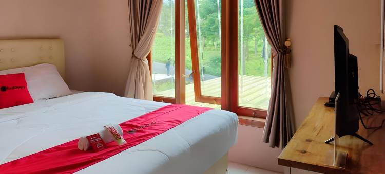 红多兹酒店-近迪昂茶园农场旅游区(RedDoorz Near Agrowisata Kebun Teh Dieng)图片