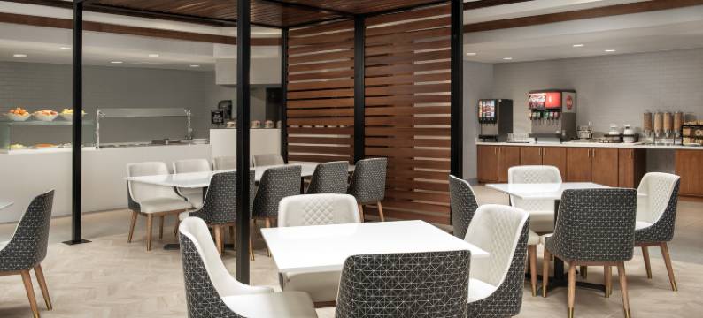 杜勒斯北劳登希尔顿安泊酒店(Embassy Suites by Hilton Dulles North Loudoun)图片