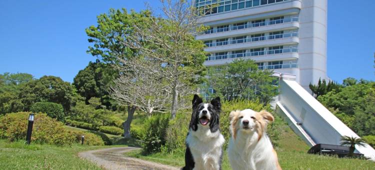 南纪白滨汪汪乐园(Nanki Shirahama Wan Wan Paradise Hotel)图片