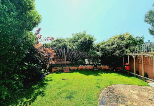 The Ashleigh - Dog Friendly Hotel Overview