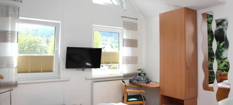 施魏因博格公寓式酒店(Pension Und Ferienwohnungen Schweinsberg)图片