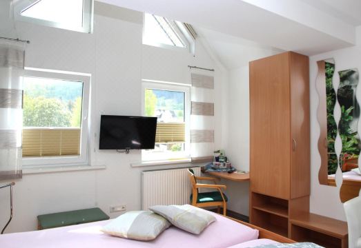 Pension Und Ferienwohnungen Schweinsberg Hotel Overview