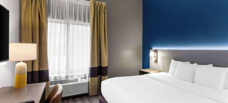 基诺沙普莱曾特普雷里舒适套房酒店(Comfort Inn & Suites Kenosha-Pleasant Prairie)图片