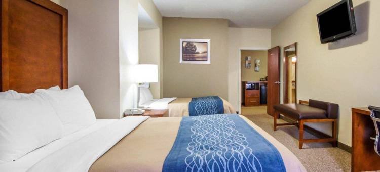 舒适酒店客栈&套房戴德伍德(Comfort Inn & Suites Deadwood)图片