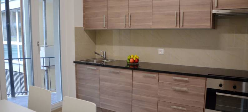 兰斯克伦街瑞士之星出租公寓(Rent a Home Landskronstrasse - Self Check-IN)图片