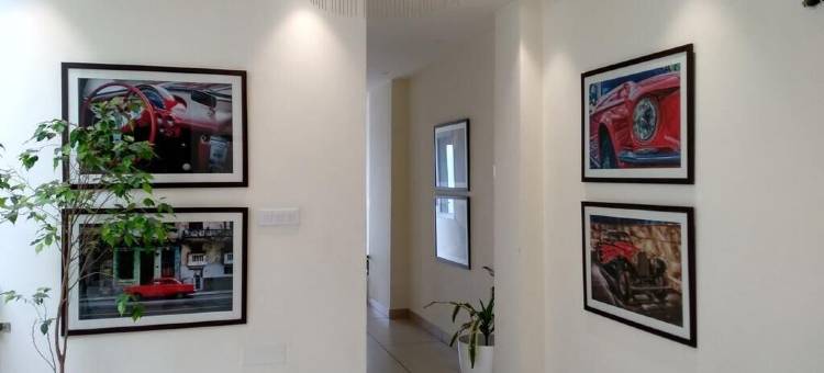 莫汉郁金香酒店(Mohan Tulip Hotel)图片