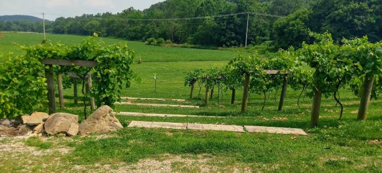 霍金学院旅馆(The Lodge at Hocking College)图片