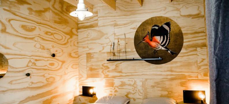 内斯的水上旅馆- Ljurk(Waterlodge Ljurk in Nes)图片