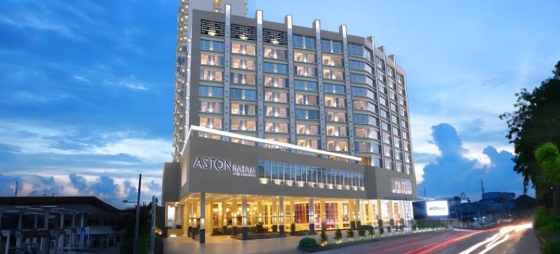 德梅里昂酒店巴淡岛(DMerlion Hotel Batam)图片