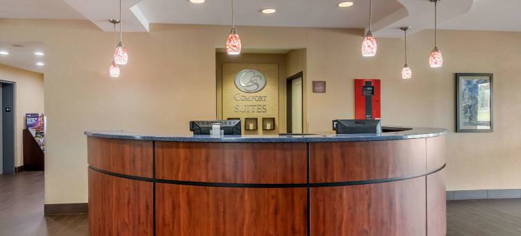 堪萨斯城赛道舒适套房酒店(Comfort Suites Speedway - Kansas City)图片