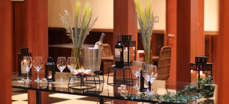 康查伊托罗33号精品酒店由诺比尔经营(Concha y Toro 33 Hotel Boutique by Nobile)图片