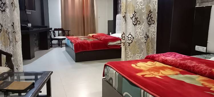 绿洲棕榈Rubystone异域(Green Palms Rubystone Exotic)图片