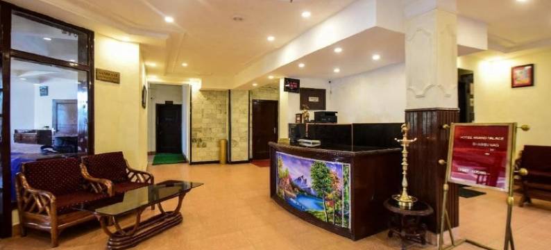 阿南德宫酒店(Anand Palace Hotel)图片