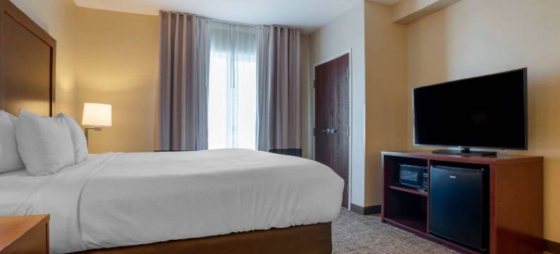 弗利北部湾岸舒适套房酒店(Comfort Suites Foley - North Gulf Shores)图片