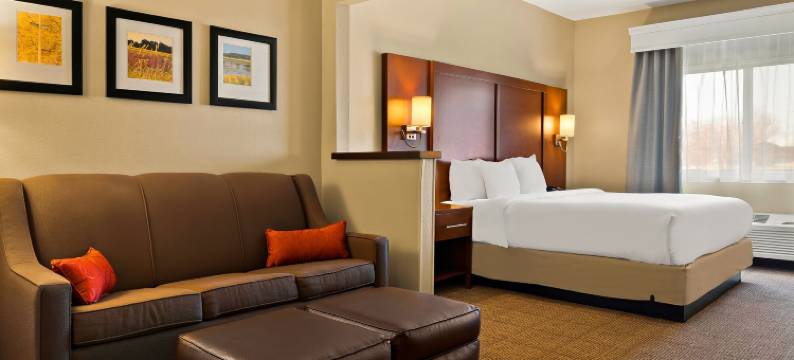 萨吉诺北舒适套房酒店(Comfort Suites- Saginaw)图片