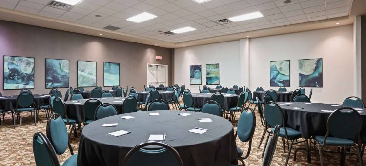 渥太华加蒂诺贝斯特韦斯特优质酒店(Best Western Plus Gatineau-Ottawa Downtown)图片