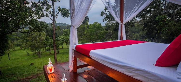 阿斯波库纳 - 生态团队(Ahaspokuna by Eco Team)图片