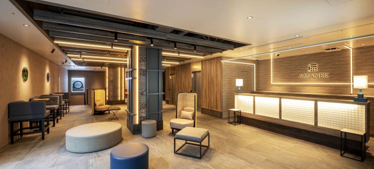 新宿歌舞伎町阿曼内克酒店(HOTEL AMANEK Shinjuku Kabukicho)图片