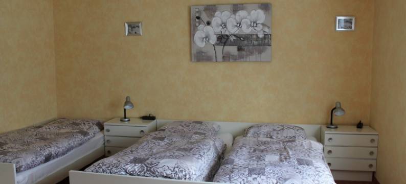 厄伦屋酒店(Haus Erlen)图片