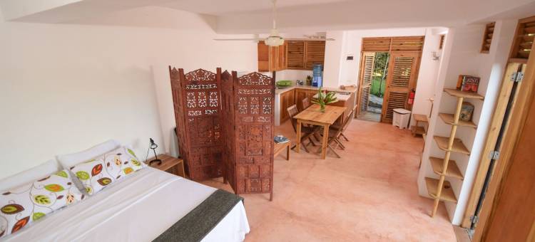 克拉夫弗德生态山林小屋(Clave Verde Ecolodge)图片