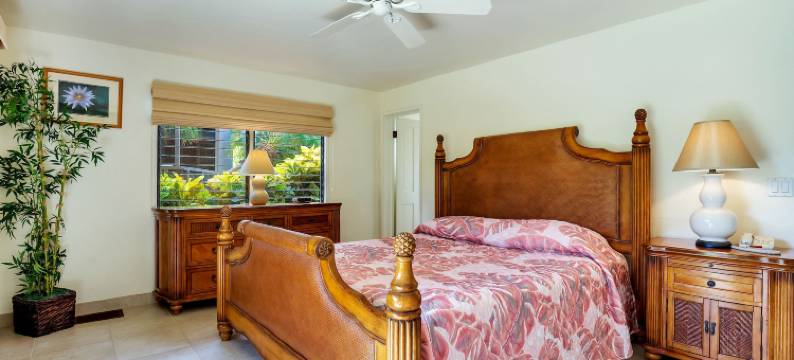 科纳卡纳洛亚城堡(Castle Kanaloa at Kona)图片