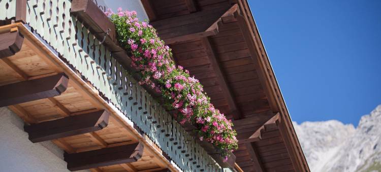 斯特因波克旅馆 – 达斯堡恩豪斯(Pension der Steinbock)图片