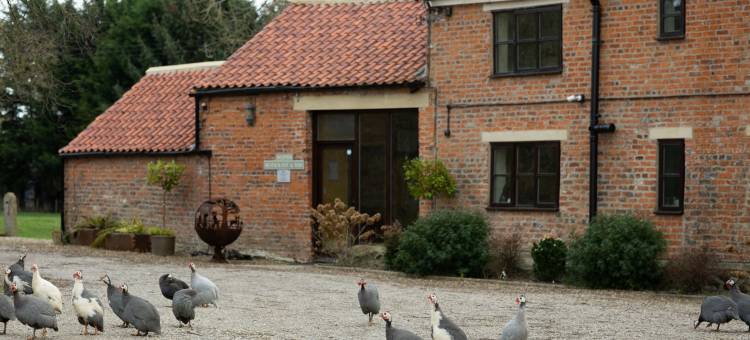 砖厂农舍住宿加早餐旅馆(Brickfields Farm)图片