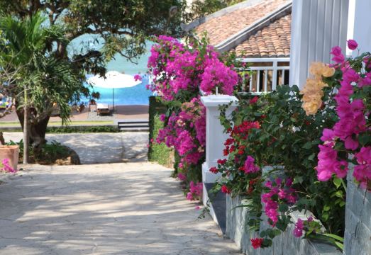 SV Boutique Resort Hotel Overview