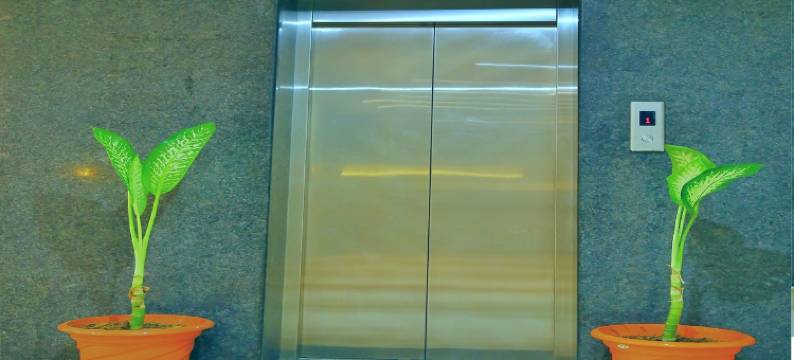 鲁比石头希夫维拉斯宫殿(Rubystone Shiv Vilas Palace)图片