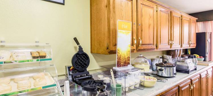 帕里斯凯艺酒店(Quality Inn Paris Texas)图片