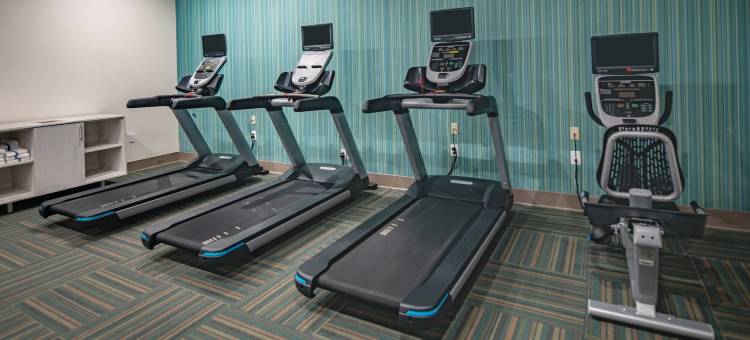 西-北韦科区智选假日套房酒店(Holiday Inn Express & Suites N Waco Area - West)图片