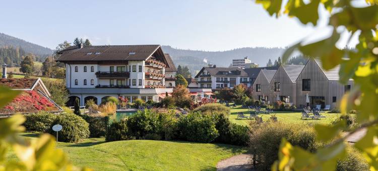 健康 & 享受度假村恩格尔(Wellness & Genuss Resort - Engel Obertal)图片