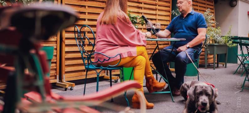 邮政大酒店(Grand Hotel de La Poste - Lyon Sud - Vienne)图片