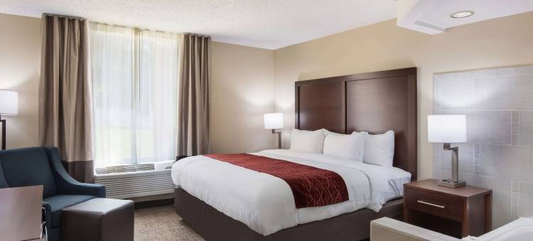 舒适酒店(Comfort Inn)图片