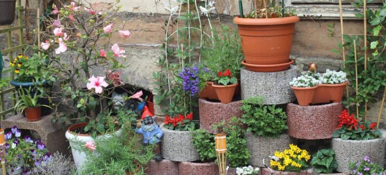 餐厅/迈因策尔图尔膳食旅馆(Restaurant / Pension Mainzer Tor)图片