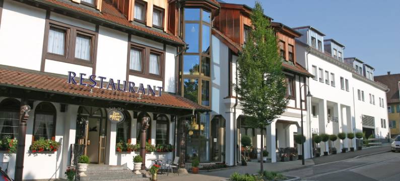 金色弗拉格餐厅酒店(Hotel & Restaurant Goldener Pflug)图片