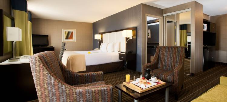 假日酒店及套房密西沙加西/梅多维尔(Holiday Inn & Suites Mississauga West - Meadowvale)图片