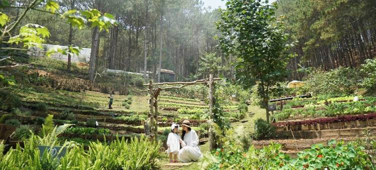 Mơ住宿-森林度假村(Mo Stay - Forest Resort)图片