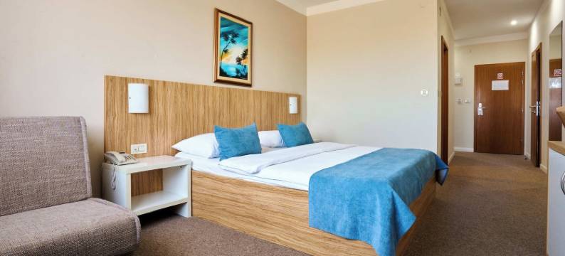 凤凰酒店(Hotel Phoenix)图片