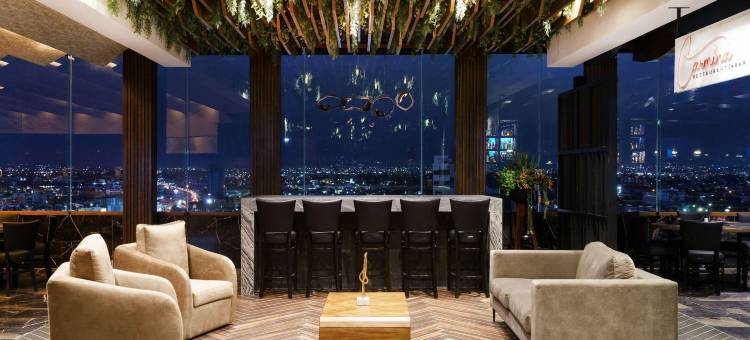 丽笙普埃布拉安赫洛波利斯(Hotel Radisson Puebla Angelopolis)图片