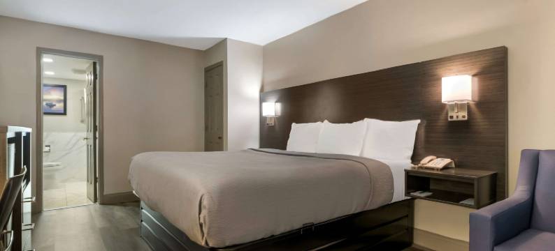 奥兰多北阿尔塔蒙特斯普林斯凯艺套房酒店(Quality Inn & Suites Altamonte Springs Orlando-North)图片