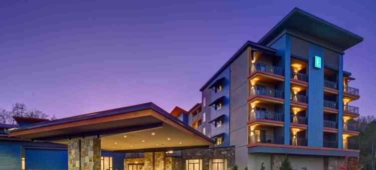 Gatlinburg 希尔顿合博套房酒店(Embassy Suites by Hilton Gatlinburg Resort)图片